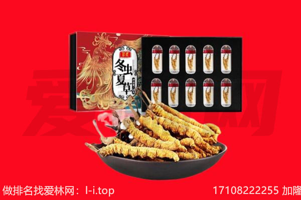 开封市回收虫草.jpg